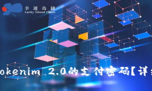 如何找回Tokenim 2.0的支付密码？详细步骤解析