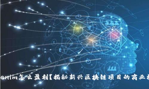 Tokenim怎么盈利？揭秘新兴区块链项目的商业模式