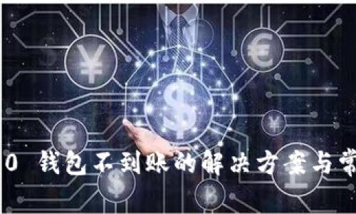 Tokenim 2.0 钱包不到账的解决方案与常见问题解答