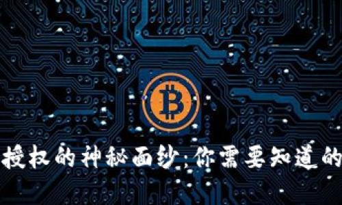 揭开区块链授权的神秘面纱：你需要知道的套路与陷阱