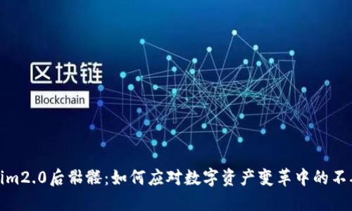 Tokenim2.0后骷髅：如何应对数字资产变革中的不确定性