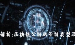 深入解析：区块链公链的子链类型及应用
