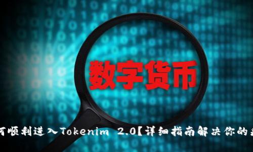 如何顺利进入Tokenim 2.0？详细指南解决你的痛点