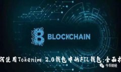 如何使用Tokenim 2.0钱包中的FIL钱包：全面指南