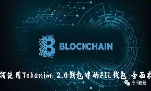 如何使用Tokenim 2.0钱包中的FIL钱包：全面指南
