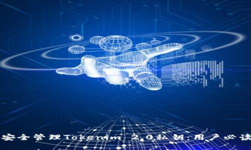 如何安全管理Tokenim 2.0私钥：用户必读指南