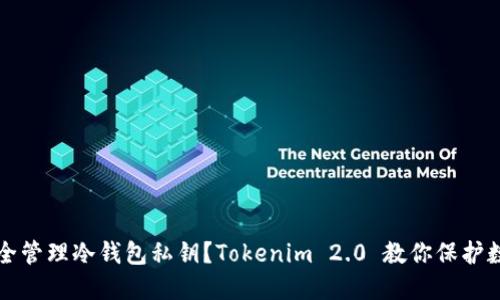 如何安全管理冷钱包私钥？Tokenim 2.0 教你保护数字资产