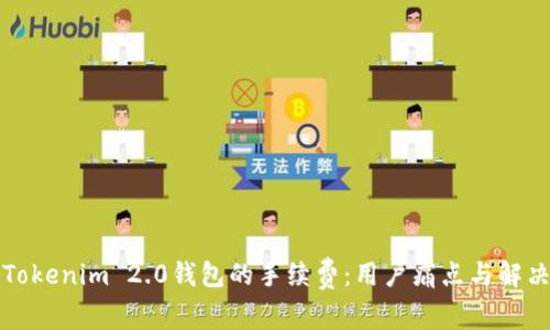 如何Tokenim 2.0钱包的手续费：用户痛点与解决方案