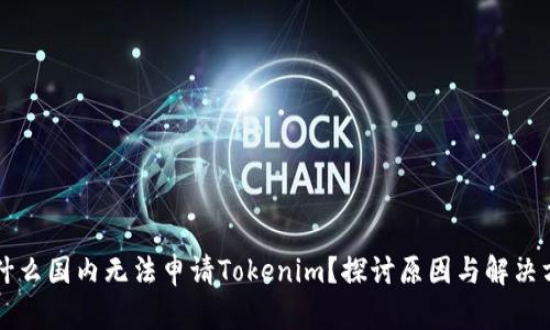 为什么国内无法申请Tokenim？探讨原因与解决方案