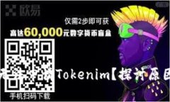 为什么国内无法申请Tokenim？探讨原因与解决方案