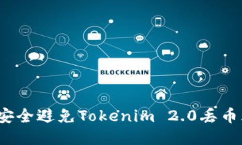如何安全避免Tokenim 2.0丢币风险？