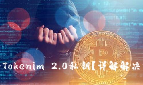 如何找回丢失的Tokenim 2.0私钥？详解解决方法与预防措施