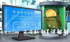 如何找回丢失的Tokenim 2.0私钥？详解解决方法与预