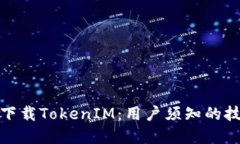 如何安全下载TokenIM：用户须知的技巧与建议