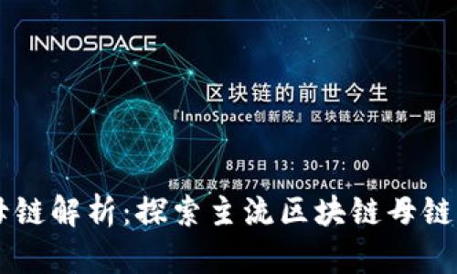 区块链母链解析：探索主流区块链母链及其应用