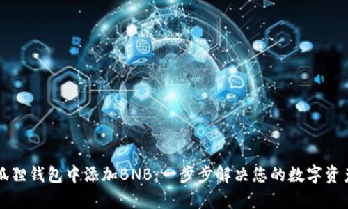 如何在小狐狸钱包中添加BNB：一步步解决您的数字资产管理痛点
