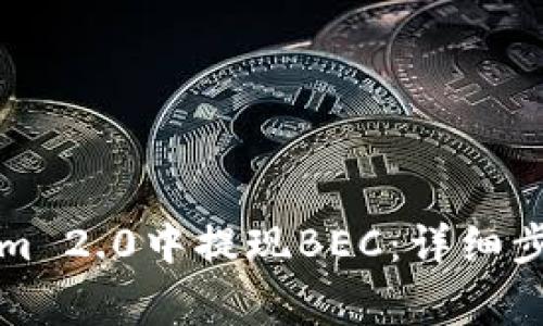 如何在Tokenim 2.0中提现BEC：详细步骤与注意事项
