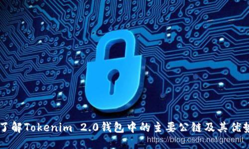 了解Tokenim 2.0钱包中的主要公链及其优势
