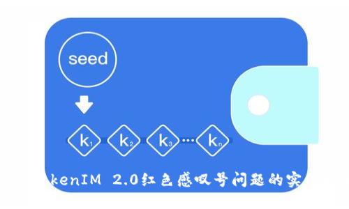 解决TokenIM 2.0红色感叹号问题的实用指南