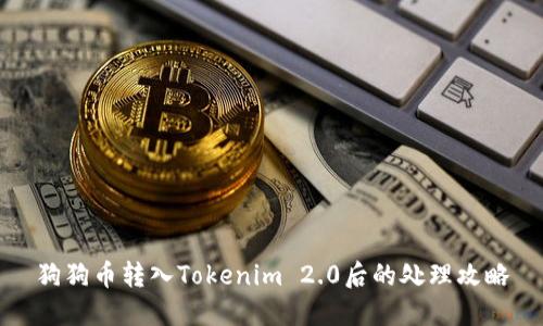 狗狗币转入Tokenim 2.0后的处理攻略
