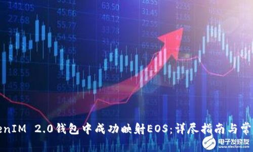 如何在TokenIM 2.0钱包中成功映射EOS：详尽指南与常见问题解答