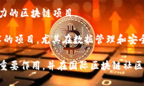 在韩国区块链市场上，有许多公司和机构致力于新兴技术的开发与应用。以下是一些知名的韩国区块链集团及其子公司或相关项目：

1. **Ground X**：这是韩国最大的互联网公司之一Kakao的区块链子公司。Ground X负责开发Klaytn，这是一个高性能的区块链平台，旨在为用户和开发者提供更加用户友好的体验。

2. **ICON Foundation**：ICON是韩国最大的区块链项目之一，旨在建立一个去中心化的网络，连接不同的区块链。该基金会负责推动ICON的生态系统发展。

3. **Samsung SDS**：三星集团的IT服务部门，SDS在区块链技术领域也有所涉及，主要关注企业级解决方案的开发。

4. **Bithumb**：韩国最大的加密货币交易所之一，Bithumb不仅提供交易服务，还积极参与区块链技术的探索和开发。

5. **Dunamu**：这是一家金融科技公司，除了运营大型交易所Upbit外，还投资于多个区块链项目，并提供区块链技术服务。

6. **Gumi Cryptos**：这是一个专注于区块链技术和加密货币的风险投资公司，投资了多个区块链初创公司。

7. **Block Crafters**：这是一家区块链投资公司，专注于发掘和支持有潜力的区块链项目。

8. **Naver**：虽然Naver本身是一家互联网公司，但它也有利用区块链技术的项目，尤其在数据管理和安全领域。

以上公司和集团在推动韩国区块链技术的创新、应用以及合规性方面发挥着重要作用，并在国际区块链社区中占有一席之地。