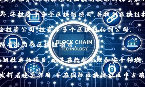 在韩国区块链市场上，有许多公司和机构致力于新兴技术的开发与应用。以下是一些知名的韩国区块链集团及其子公司或相关项目：

1. **Ground X**：这是韩国最大的互联网公司之一Kakao的区块链子公司。Ground X负责开发Klaytn，这是一个高性能的区块链平台，旨在为用户和开发者提供更加用户友好的体验。

2. **ICON Foundation**：ICON是韩国最大的区块链项目之一，旨在建立一个去中心化的网络，连接不同的区块链。该基金会负责推动ICON的生态系统发展。

3. **Samsung SDS**：三星集团的IT服务部门，SDS在区块链技术领域也有所涉及，主要关注企业级解决方案的开发。

4. **Bithumb**：韩国最大的加密货币交易所之一，Bithumb不仅提供交易服务，还积极参与区块链技术的探索和开发。

5. **Dunamu**：这是一家金融科技公司，除了运营大型交易所Upbit外，还投资于多个区块链项目，并提供区块链技术服务。

6. **Gumi Cryptos**：这是一个专注于区块链技术和加密货币的风险投资公司，投资了多个区块链初创公司。

7. **Block Crafters**：这是一家区块链投资公司，专注于发掘和支持有潜力的区块链项目。

8. **Naver**：虽然Naver本身是一家互联网公司，但它也有利用区块链技术的项目，尤其在数据管理和安全领域。

以上公司和集团在推动韩国区块链技术的创新、应用以及合规性方面发挥着重要作用，并在国际区块链社区中占有一席之地。