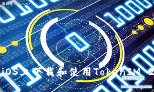 如何在iOS上下载和使用TokenIM 2.0钱包