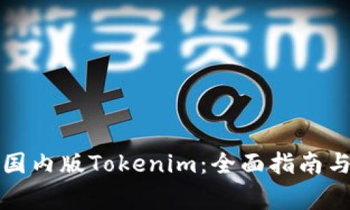 如何下载国内版Tokenim：全面指南与注意事项