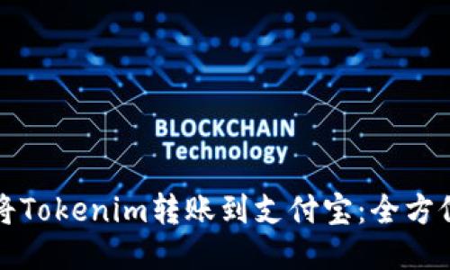 如何将Tokenim转账到支付宝：全方位指南