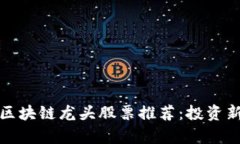 最纯正的区块链龙头股票推荐：投资新机遇解析