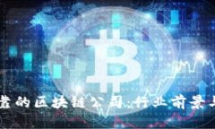 了解可靠的区块链公司：行业前景与领军者