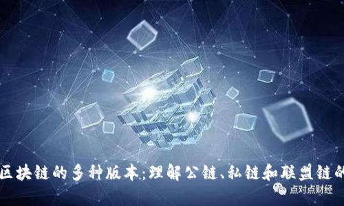 深度解析区块链的多种版本：理解公链、私链和联盟链的不同应用