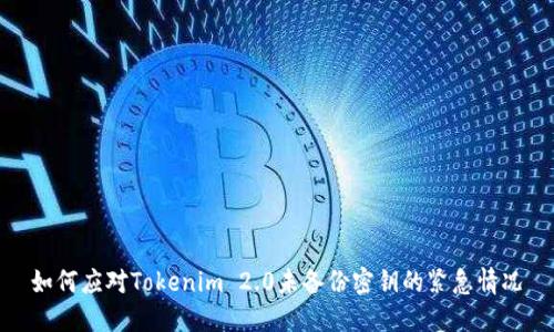 如何应对Tokenim 2.0未备份密钥的紧急情况