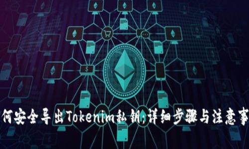 如何安全导出Tokenim私钥：详细步骤与注意事项
