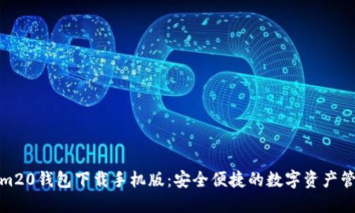 Tokenim20钱包下载手机版：安全便捷的数字资产管理工具