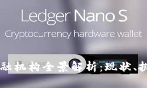 中国区块链金融机构全景解析：现状、挑战与未来展望