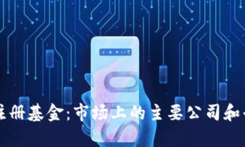 区块链注册基金：市场上的主要公司和平台分析