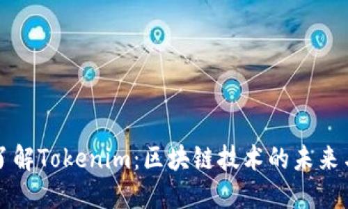 深入了解Tokenim：区块链技术的未来与挑战