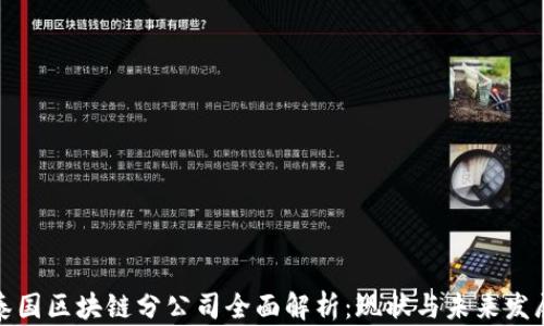 
泰国区块链分公司全面解析：现状与未来发展