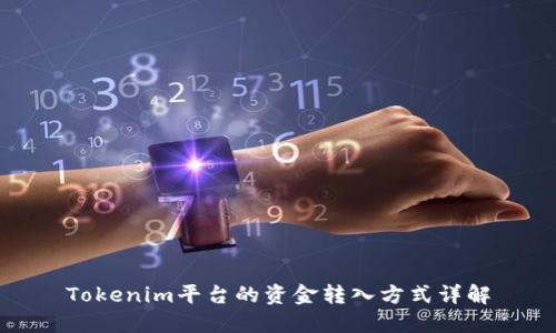 Tokenim平台的资金转入方式详解