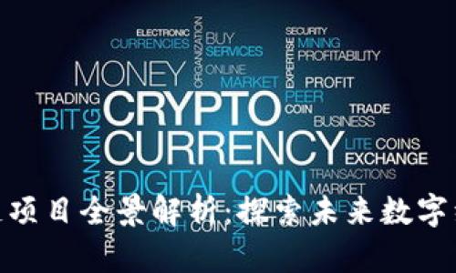 合肥区块链项目全景解析:探索未来数字经济的土壤