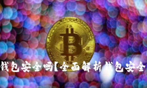 Tokenim创建的钱包安全吗？全面解析钱包安全性及其保护措施