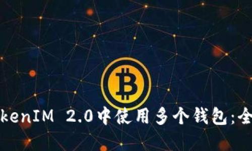 如何在TokenIM 2.0中使用多个钱包：全方位指南