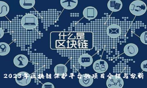 2023年区块链保护平台的项目介绍与分析