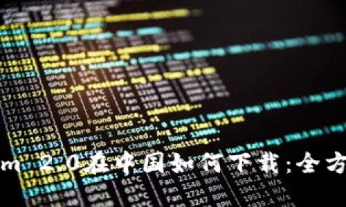 Tokenim 2.0在中国如何下载：全方位指南