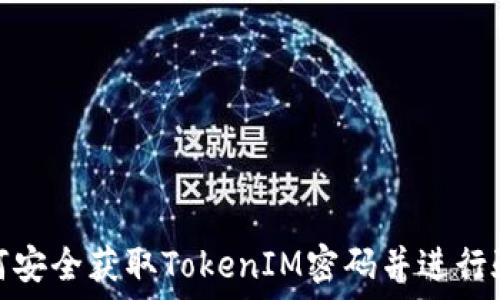   
如何安全获取TokenIM密码并进行验证