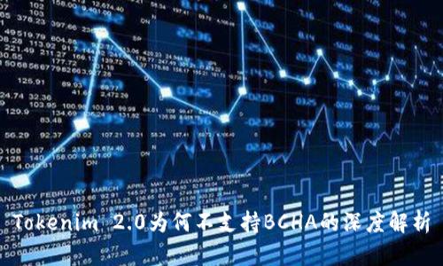 Tokenim 2.0为何不支持BCHA的深度解析