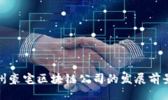 思考优质常州豪宅区块链公司的发展前景与现状