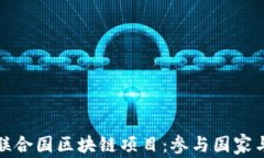 探索联合国区块链项目：参与国家与前景